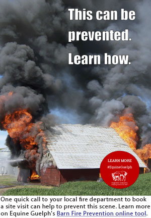 Thumbnail for How to Prevent Future Panic with a Fire Safety Site Visit