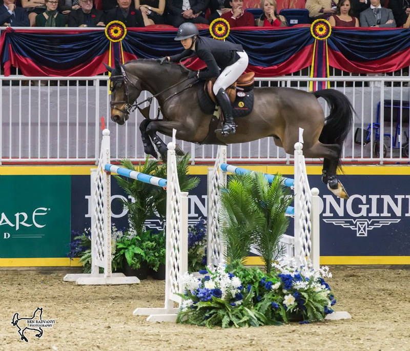 Nicole Walker, riding Falco van Spieveld, won the $25,000 Canadian Show Jumping Championship – Phase One, presented by Lothlorien, on Friday, November 2, at the Royal Horse Show in Toronto, ON.