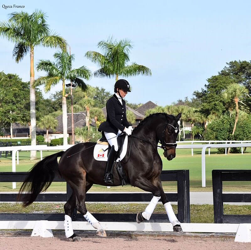 As You Wish was ranked in the six-year-old division with Shannon Dueck, a Canadian residing in Loxahatchee, FL. Photo by Carmen Elisa (Queca) Franco