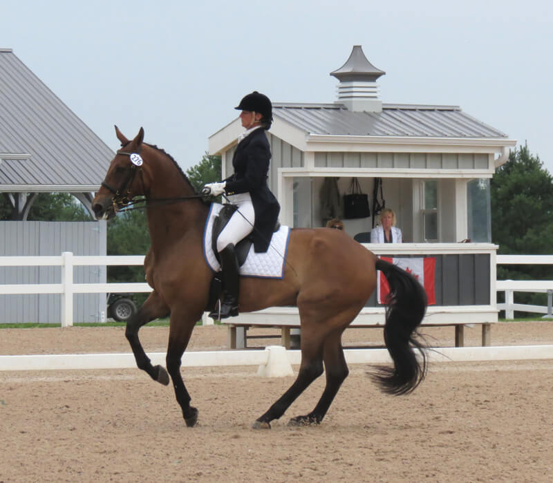 Thumbnail for Joanne Bouwhuis promoted to FEI 3* dressage judge