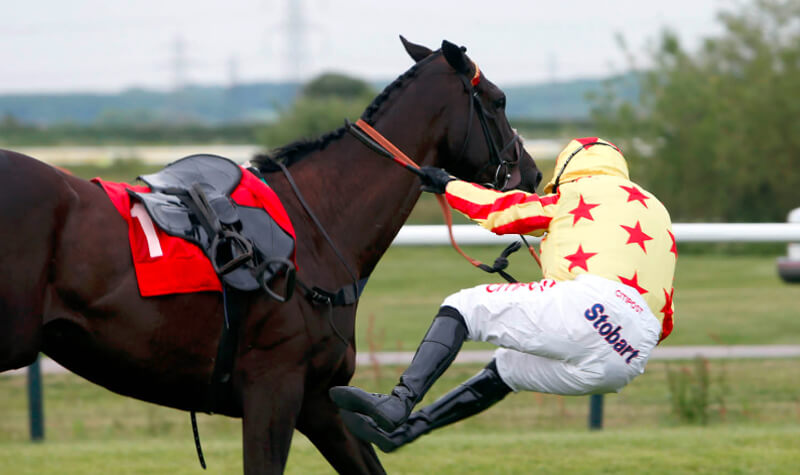 The British Horseracing Authority is sharing its digital archive of previous races to assist in research projects aimed at improving rider safety. Photo © British Horseracing Authority
