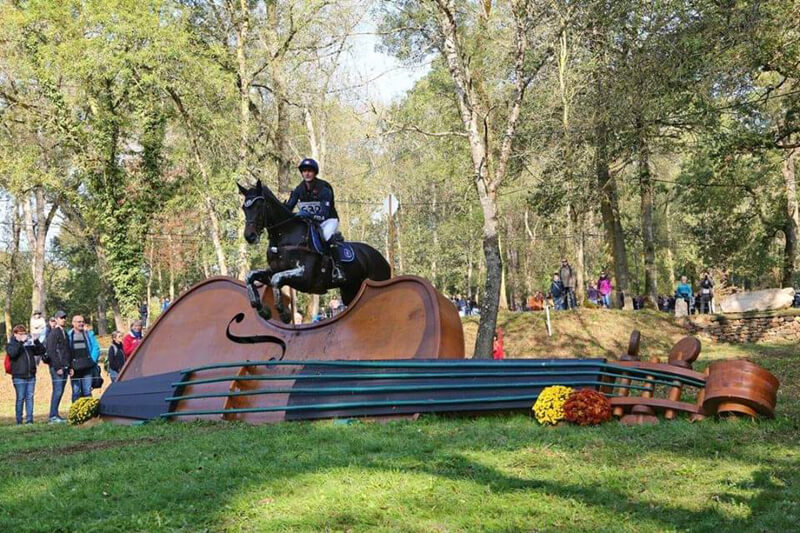 Phillip Dutton has announced that California d'Horset has joined his string of horses. Photo Phillip Dutton Eventing