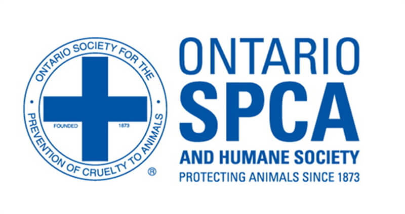 Thumbnail for Court Rules it is Unconstitutional for OSPCA to Enforce Animal Welfare Laws