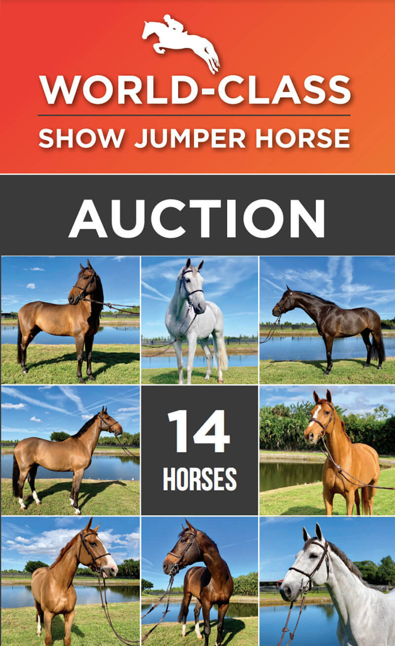 An online auction of 14 horses owned by Alejandro Andrade, father of top show jumping competitor Emanuel Andrade, is set for February 19-26 in Florida.