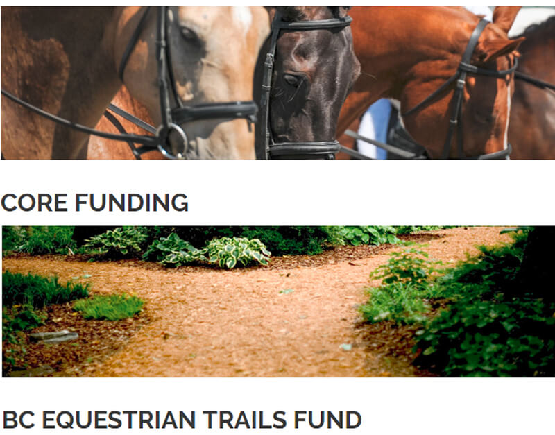 Planning an equestrian-related project or event for 2019? Core Funding and the BC Equestrian Trails Fund are open for application.