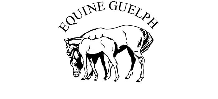 Thumbnail for Two Students Win Equine Guelph Online Tuition Awards