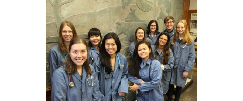 Thumbnail for Ontario Veterinary College Earns Top 10 in World University Rankings