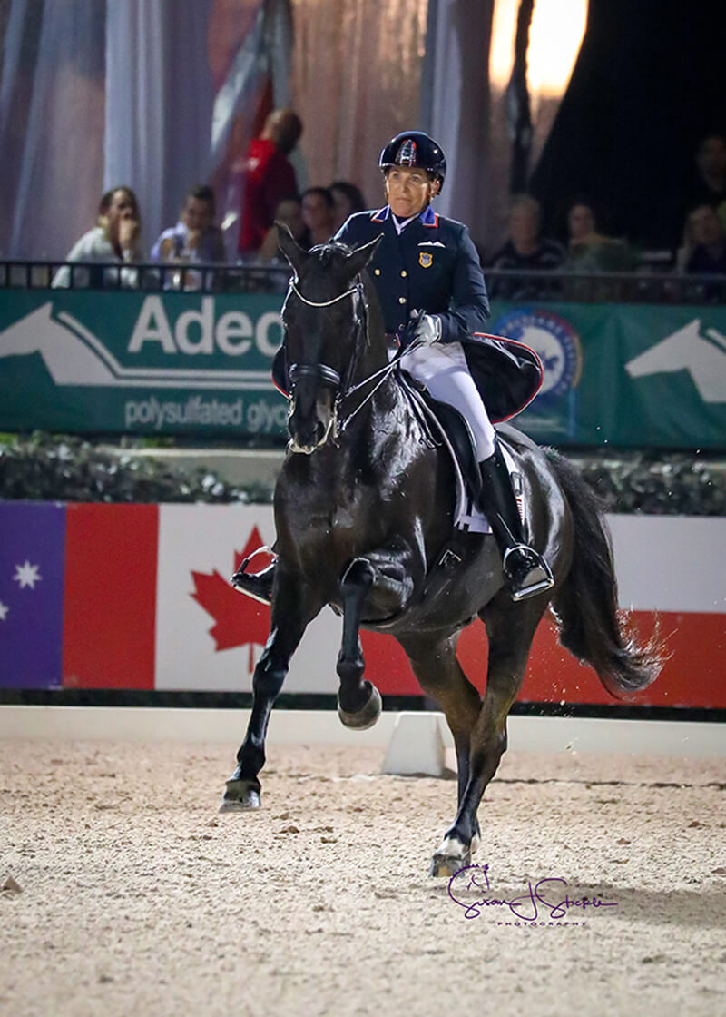 Thumbnail for Shelly Francis Wins AGDF FEI Grand Prix Freestyle CDIO3*