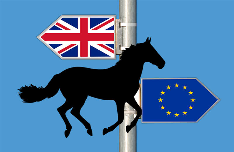 Thumbnail for Horsemen Want to Know How Brexit Will Affect the Horse Industry