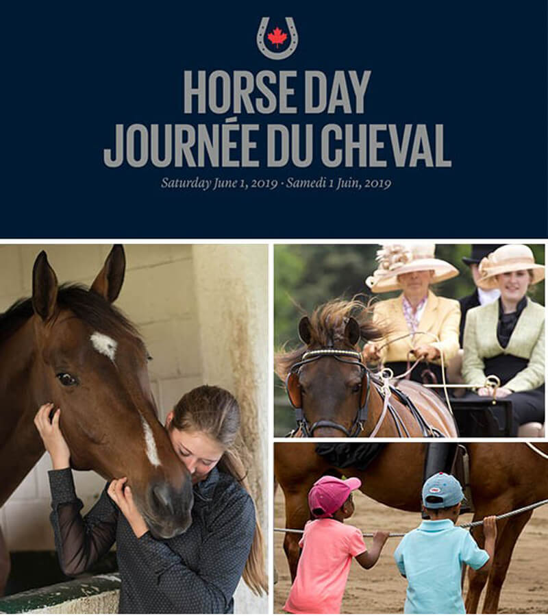 Thumbnail for What Are Your Plans for 2019 National Horse Day?