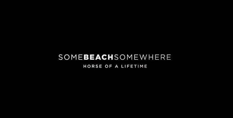 Thumbnail for “Somebeachsomewhere: Horse of a Lifetime” Makes Big Screen Debut