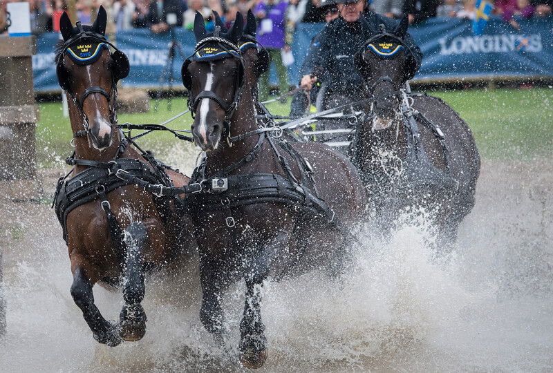The Fédération Équestre Internationale (FEI) has today allocated host cities for 13 FEI Championships for the next two years and nine FEI Driving World Cup™ legs for the 2019/2020 season. Photo by FEI/Richard Juillart