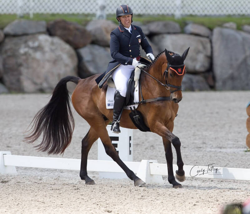Buck Davidson (USA) and Carlevo during Friday dressage at the MARS EQUESTRIAN Bromont CCI Three Day Event.