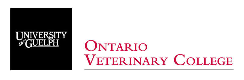 The University of Guelph is seeking Thoroughbred racehorses that have been diagnosed with front limb superficial digital flexor tendinitis, for a stem cell study.
