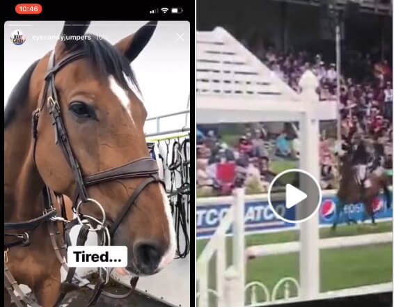 Andrew Kocher is being criticized for riding an exhausted Carollo in the Sun Life Financial Derby the day after he competed in the Queen Elizabeth II Cup. Roy Wilton, Carollo’s former owner, is one of the people who was disappointed to see the horse end on 28 faults, and made a social media post about it.