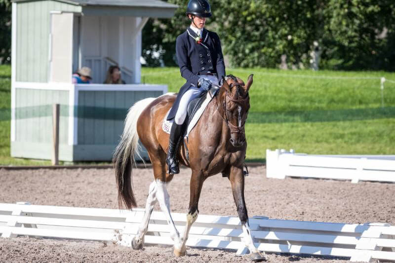 William Kidwell leads the CCIY3*-S division after dressage, with Tremolo, at the Adequan North American Youth Championships. RedBayStock.com Photo