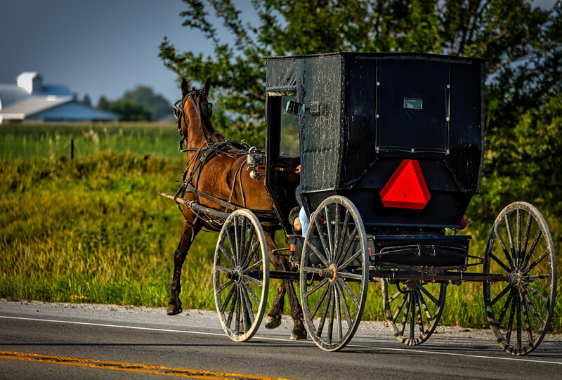 For the second time this year, a horse-drawn cart has been involved in a collision with an automobile in Kings County, Prince Edward Island.