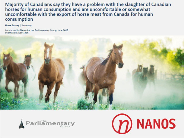 Thumbnail for Poll Shows Majority of Canadians Oppose Horse Slaughter
