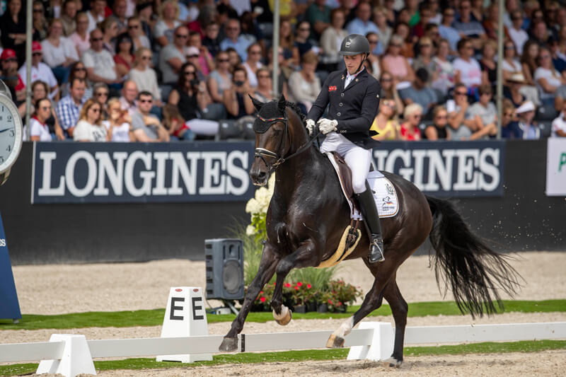 Germany’s Frederic Wandres and Zucchero OLD won the 6-Year-Old title at the Longines FEI WBFSH Dressage World Breeding Championships for Young Horses 2019 in Ermelo (NED) yesterday. Photo by ©FEI/Hippo Foto - Dirk Caremans