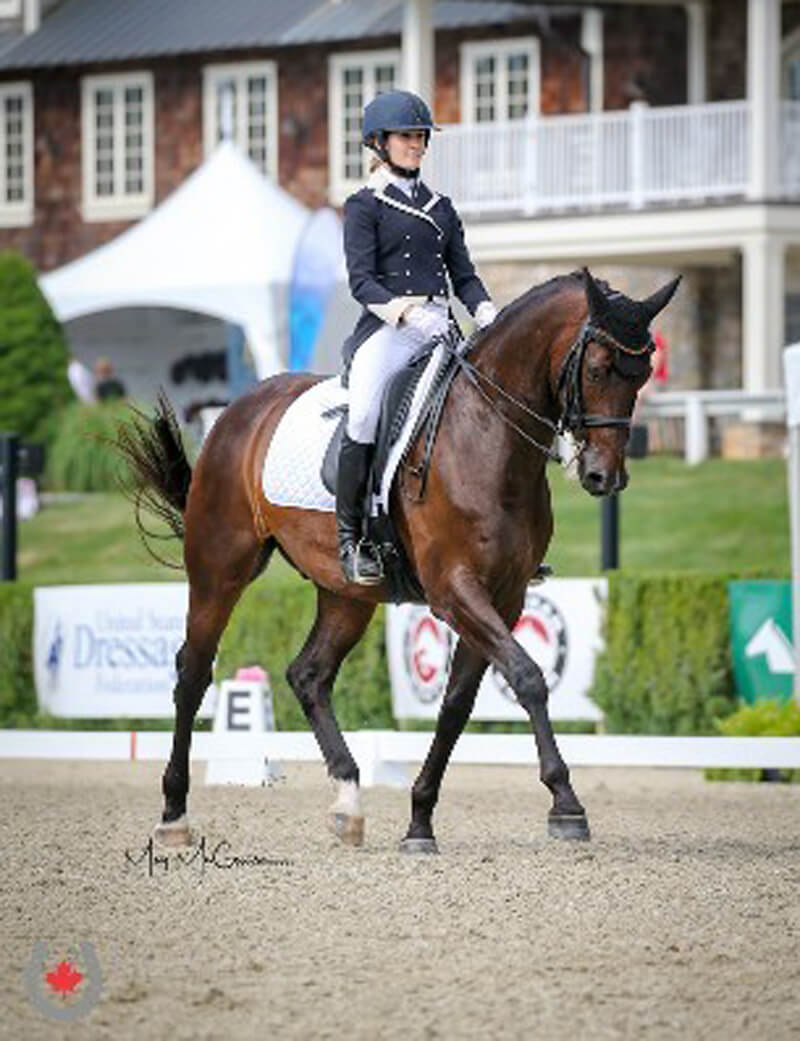 Marilie Roy of Outremont, QC, and Sam By Guert led Team Quebec/Nova Scotia to a fifth place finish in the Dressage Junior Team Competition at the Adequan/FEI North American Youth Championships (NAYC). Photo by Meg McGuire Photography