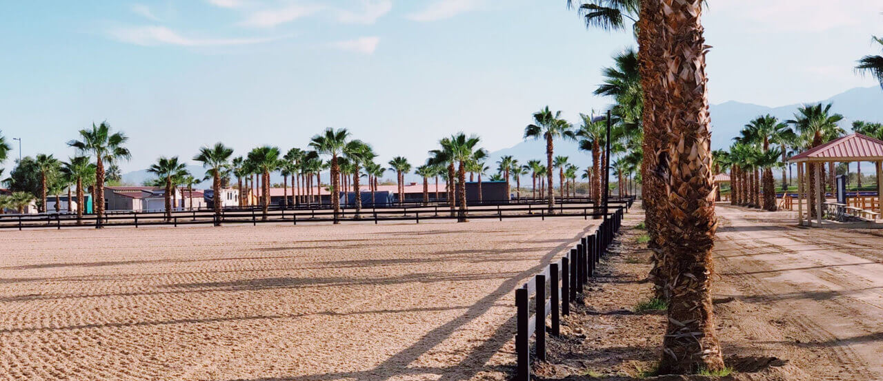 Thumbnail for Changes and Improvements at the Desert International Horse Park
