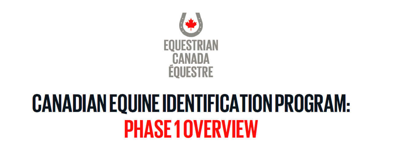 Thumbnail for Input Needed on New Canadian Equine Identification Program