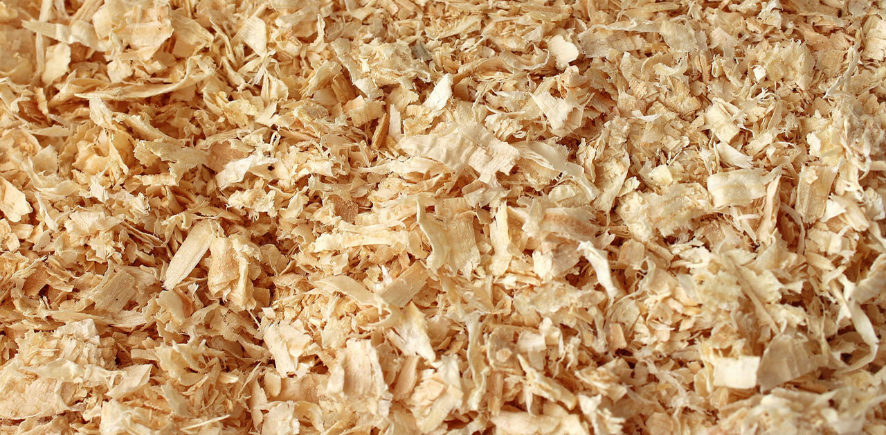 Thumbnail for Looming Canada-Wide Shavings Shortage Worries Horse Owners