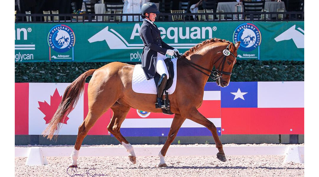 Beatrice Boucher (CAN) and Louxor De Lys capture the FEI Intermediate I Freestyle CDI3* for their second win of the week. (©️Susan Stickle)