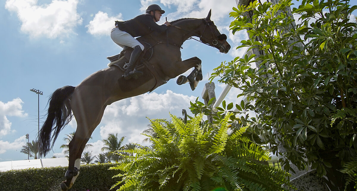 Thumbnail for Ireland’s Bertram Allen makes it two for two on the turf at WEF