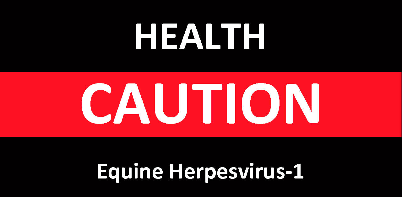 Thumbnail for EHV-1 Leads to Two Cases of Equine Abortion in Ontario