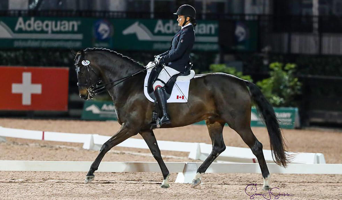 Lauren Barwick (CAN) lands the FEI Para Freestyle Grade III CPEDI3* on new ride Sandrino with 75.133%. ©️Susan Stickle.