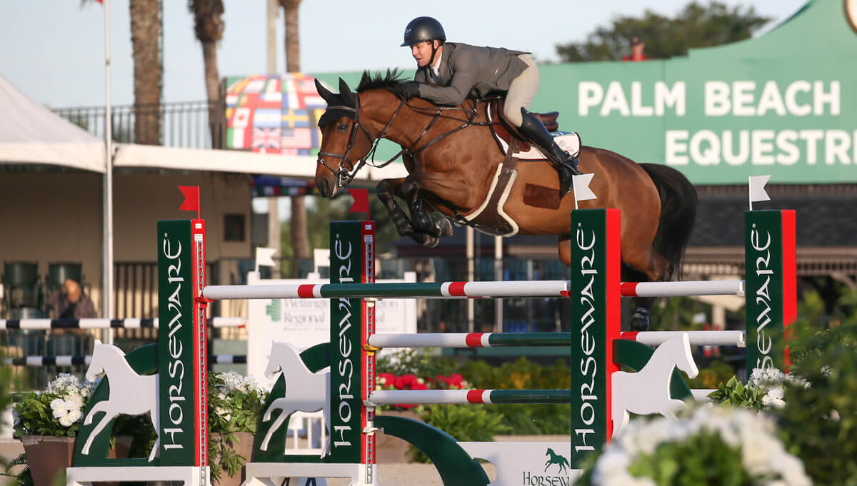 Thumbnail for WEF 2020 Opens with a win for Shane Sweetnam and Zandora Z