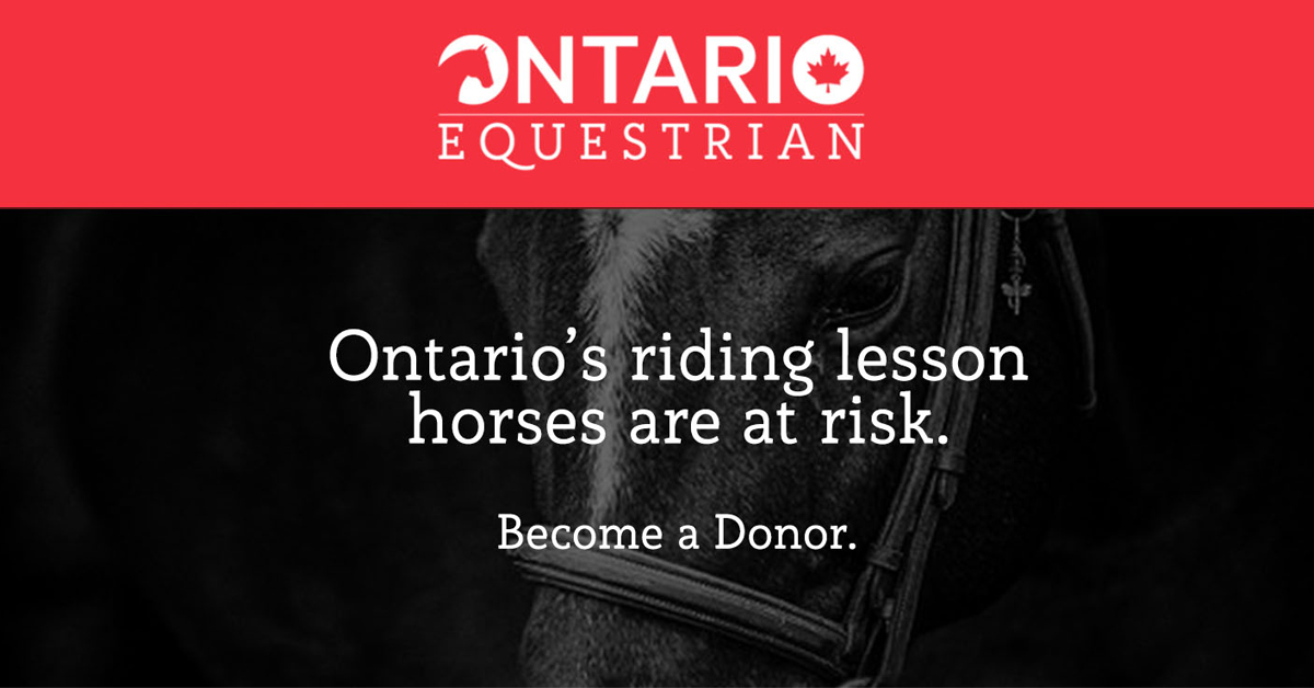 Thumbnail for Ontario Equestrian Asks You to Help the Horses In Need