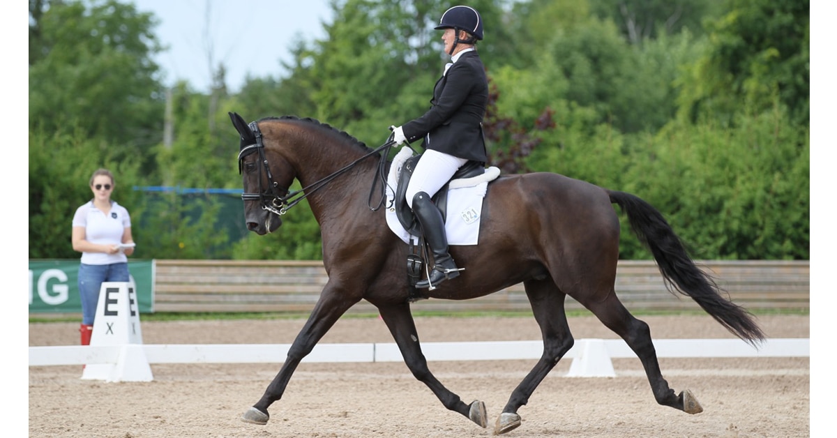 Theo and Jacquie competing at Caledon Dressage #3 last August. They were named year-end Third Level champions. (mwimages.com)