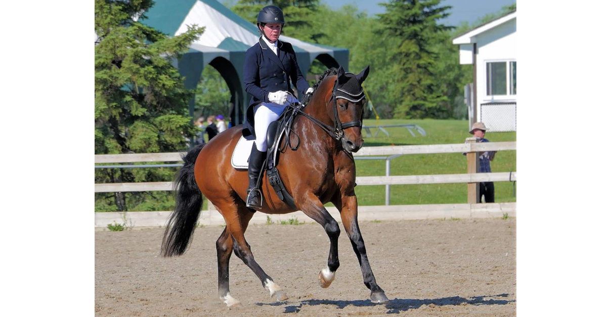 The Level 3 Dressage Year End High Point Award recipient was Qestano (Quaterback x Jump For Joy, Lover's Cross xx) owned by Suzanne Hanley-Hawkings, AB and bred by Stephanie Koepke, AB