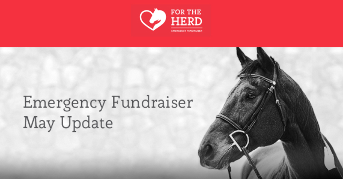 Thumbnail for Ontario Equestrian #ForTheHerd Emergency Fundraiser Update