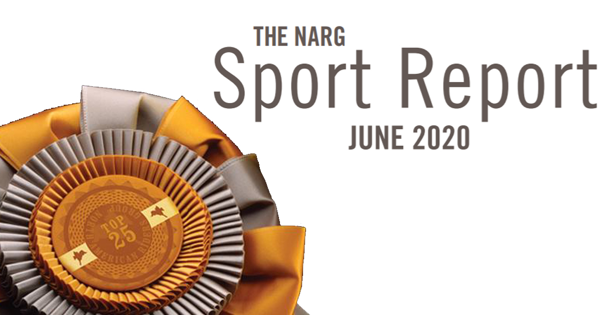 Thumbnail for NARG Sport Report: What’s Happening in North America & Beyond