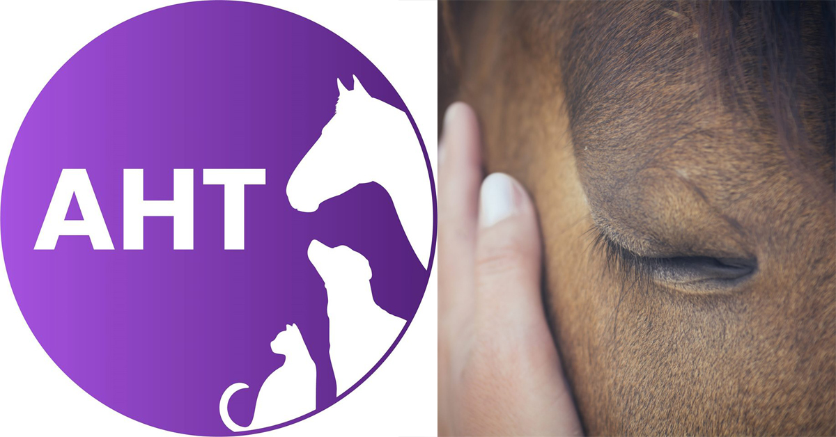 Thumbnail for Longtime Funding Issues Force Closure of UK’s Animal Health Trust