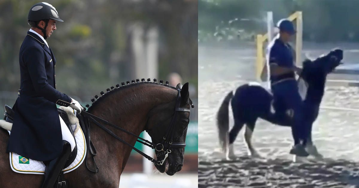 Thumbnail for Action Mounts Against Brazilian Dressage Star Accused of Pony Abuse
