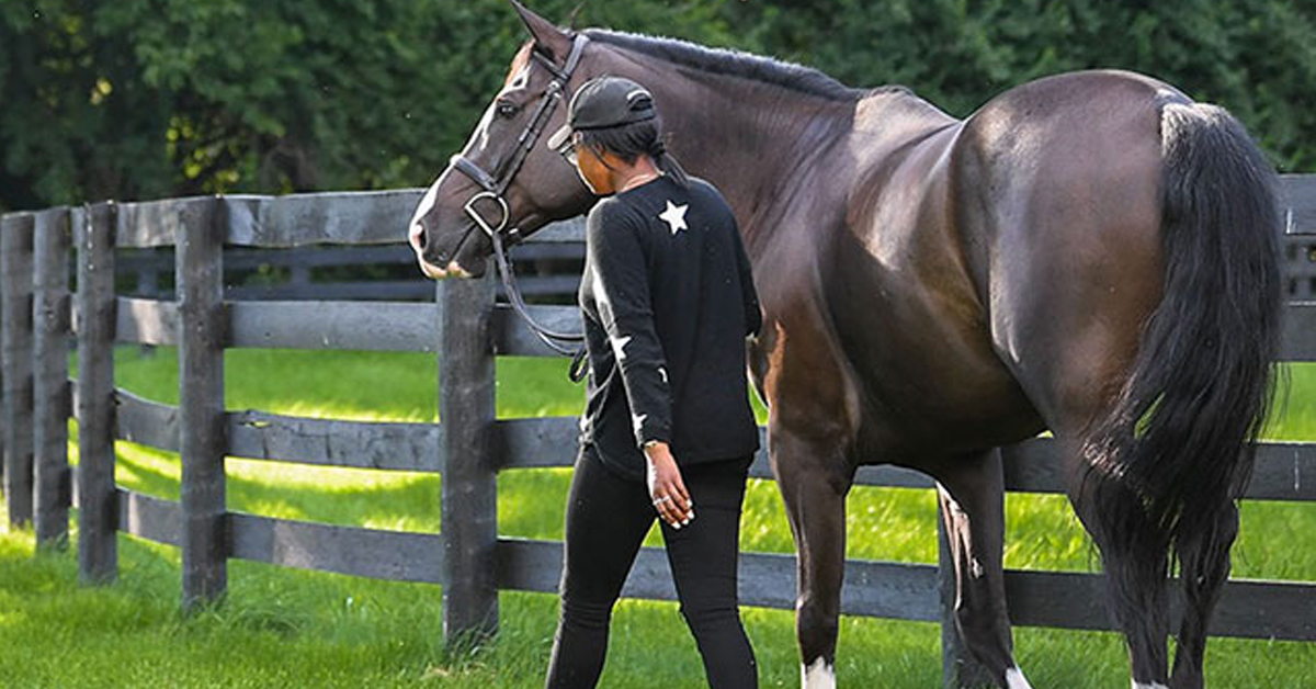 Thumbnail for US Equestrian Modifies Green Hunter Eligibility Rules