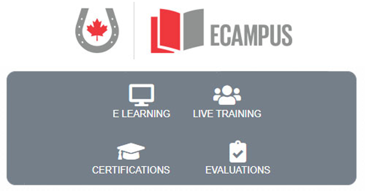 Thumbnail for EC Celebrates National Coaches Week With Launch of Ecampus