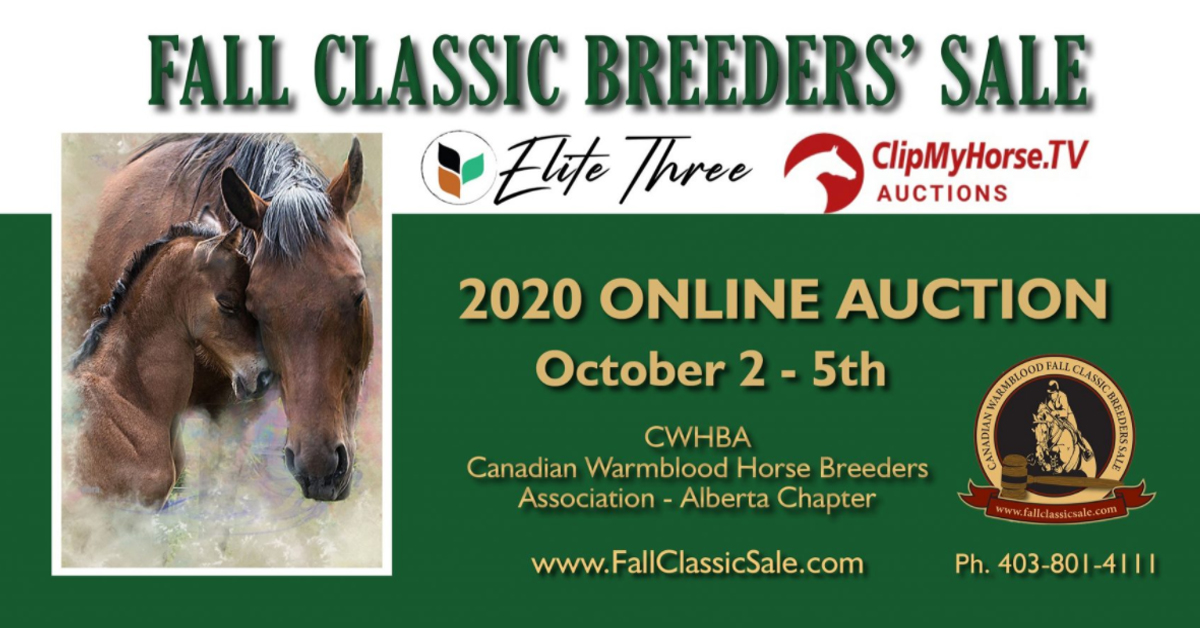 Thumbnail for Excitement Builds in Run-up to Online Fall Classic Breeders’ Sale