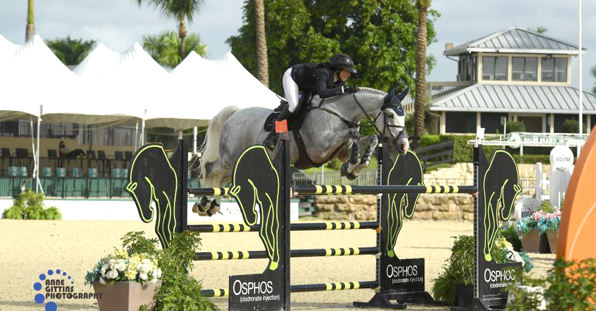Thumbnail for Catherine Tyree and BEC Lorenzo Win Osphos Grand Prix