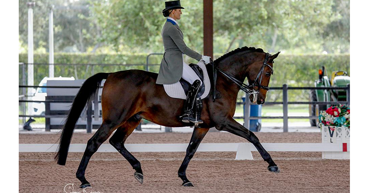 Thumbnail for Bianca Tota and Cadento V Claim CDI3* Victories at Global Dressage