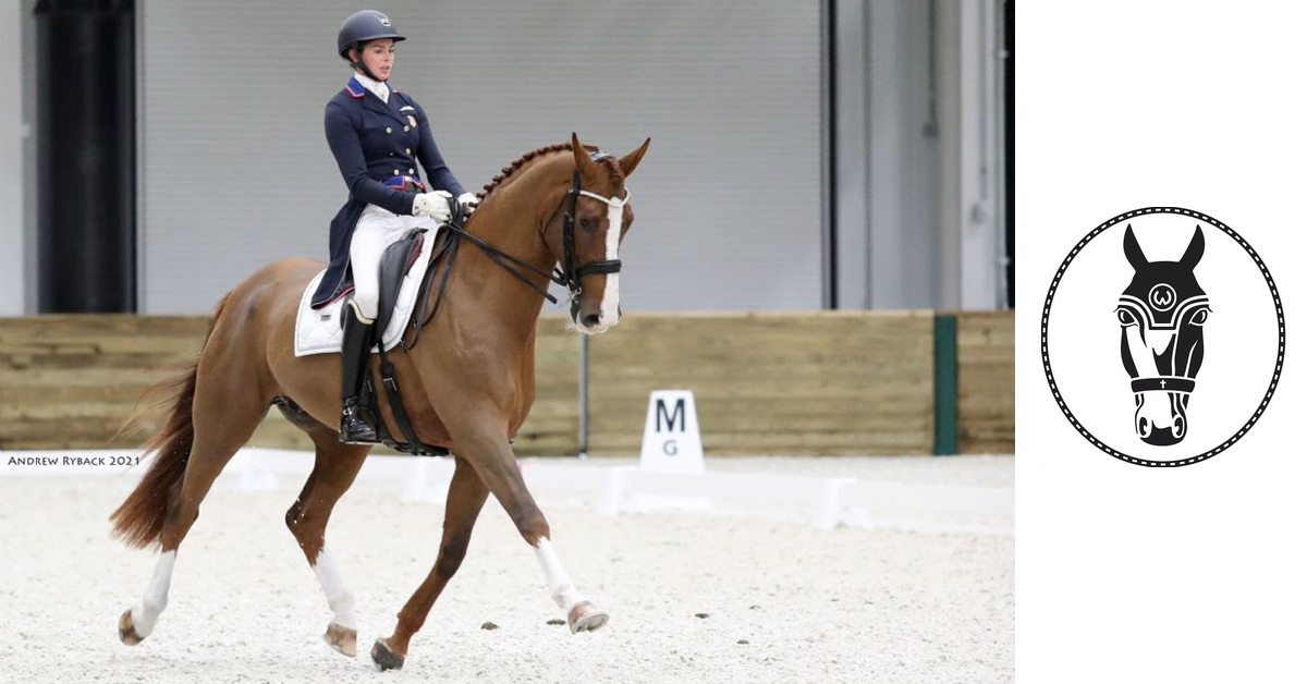 Thumbnail for Dressage Shows Start Strong at World Equestrian Center Ocala