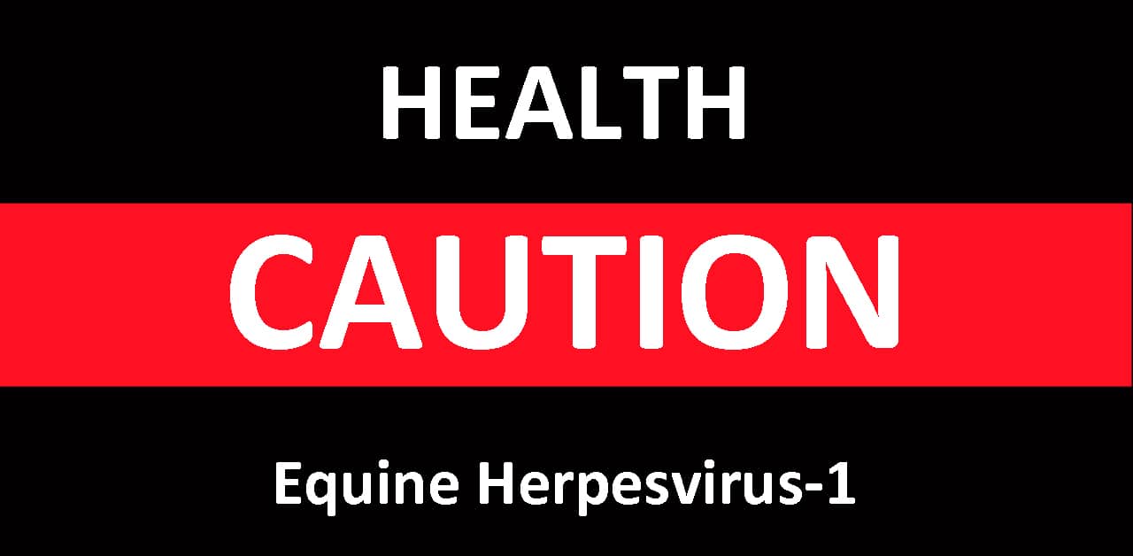 Thumbnail for Two New Cases of Equine Herpesvirus Reported in Ontario