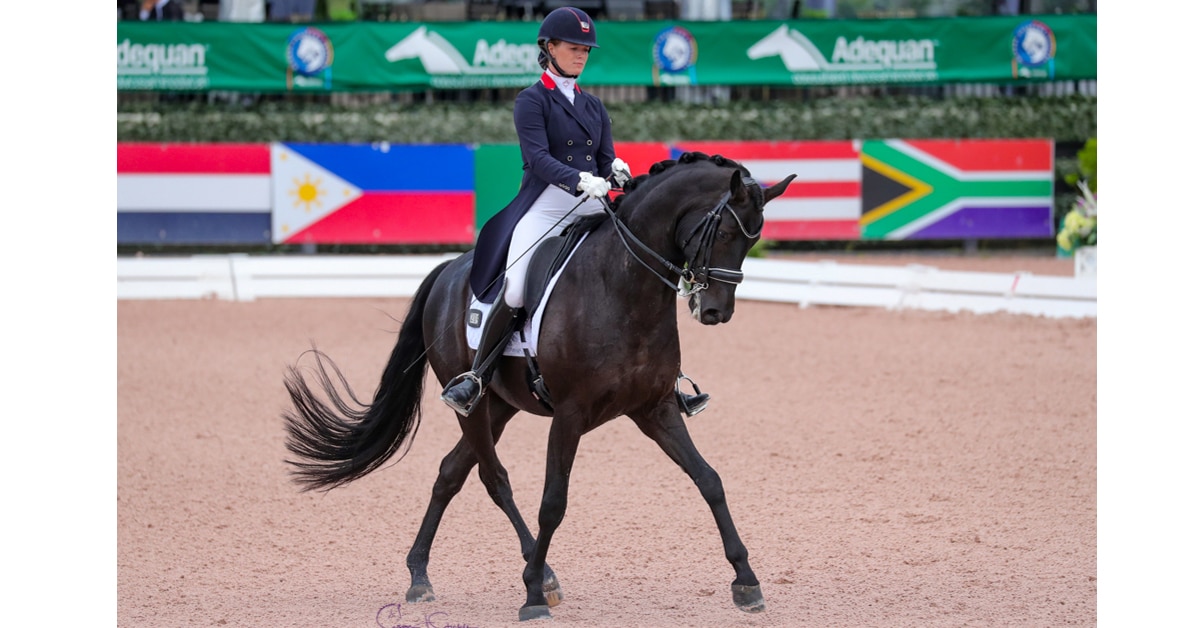 Thumbnail for AGDF 2021 Wraps Up With Young Horse Grand Prix/PSG Finals