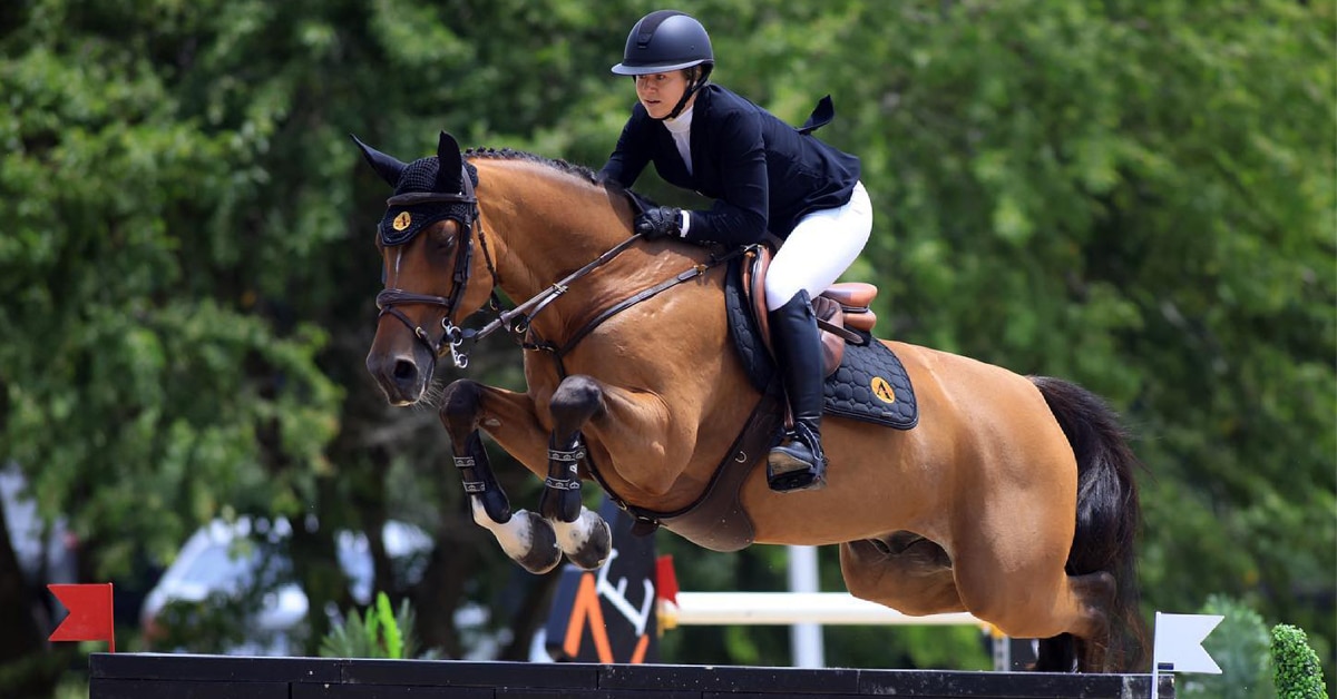 Thumbnail for Nicole Walker and Excellent B 2nd in $100,000 Grand Prix in Lexington
