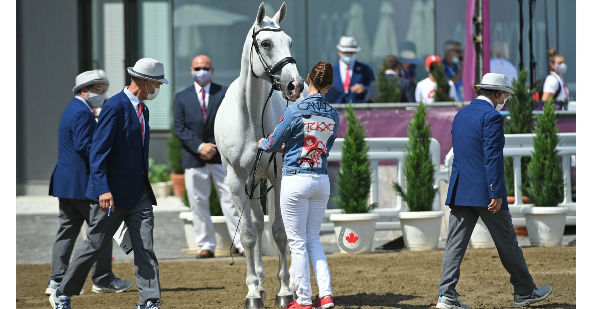 Thumbnail for Colleen Loach and Qorry Ready to Compete as Olympic Eventing Begins