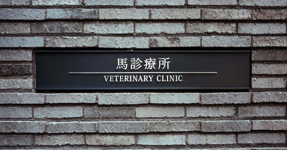 Thumbnail for Equine Athletes in Tokyo Get World-Class Veterinary Care